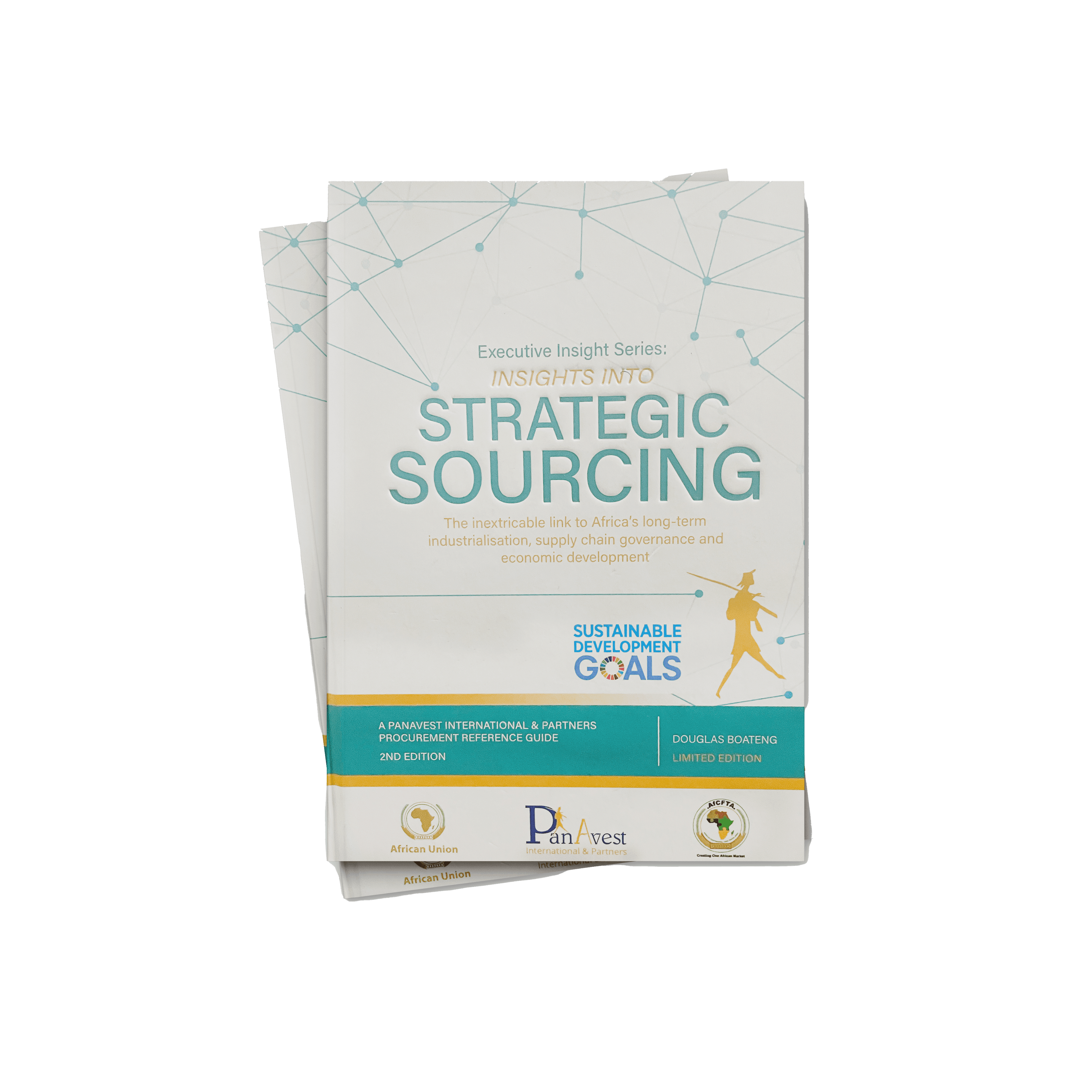Insights into Strategic Sourcing (Executive Insight Series)